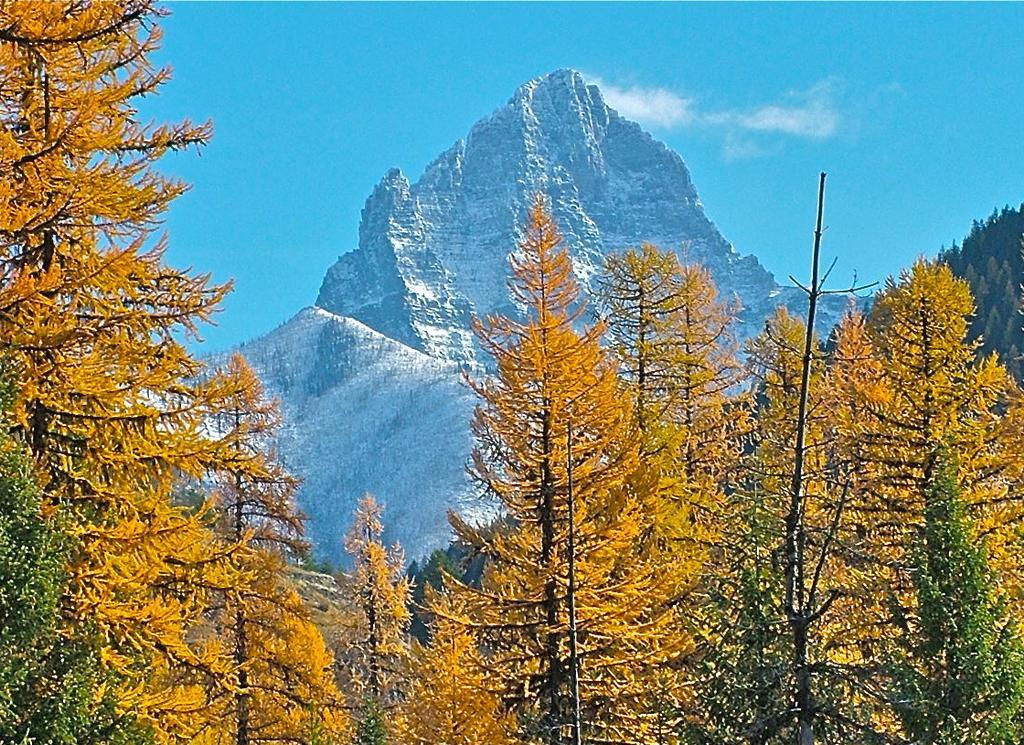 Glacier Haven Inn Pinnacle Kültér fotó